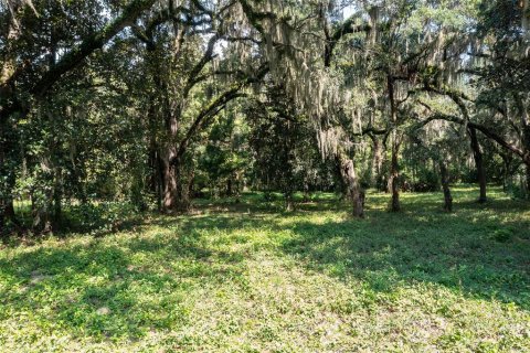 Land in Palatka, Florida № 930406 - photo 16