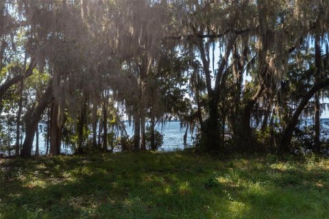 Land in Palatka, Florida № 930406 - photo 13