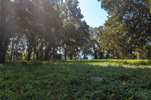 Land in Palatka, Florida № 930406 - photo 14