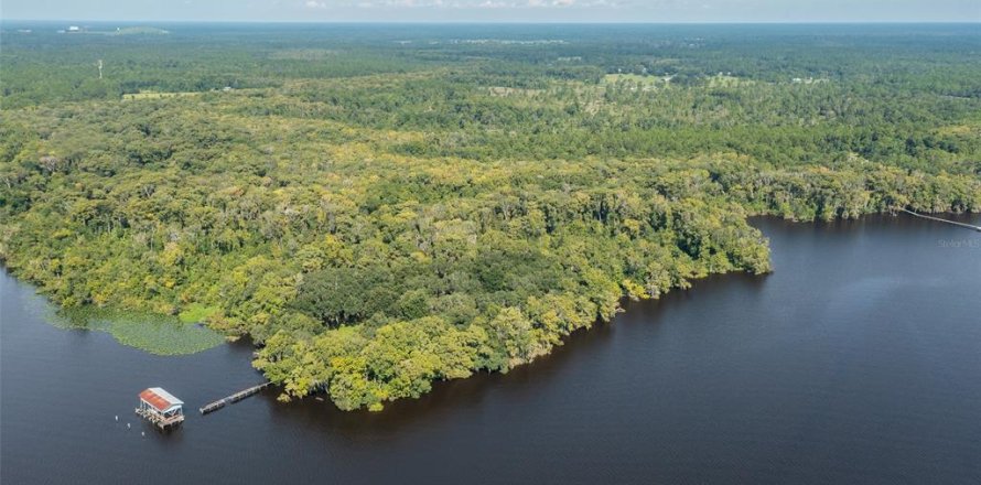 Land in Palatka, Florida № 930406