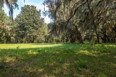Land in Palatka, Florida № 930406 - photo 15