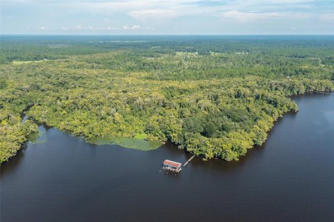 Land in Palatka, Florida № 930406 - photo 4