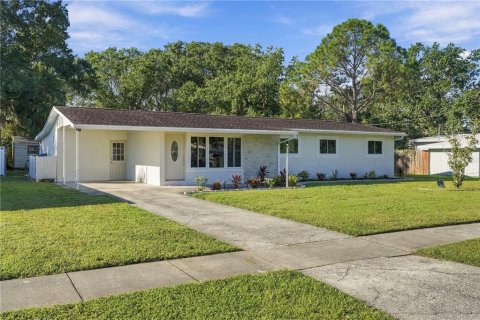 Villa ou maison à vendre à Tampa, Floride: 4 chambres, 176.14 m2 № 2415372 - photo 2