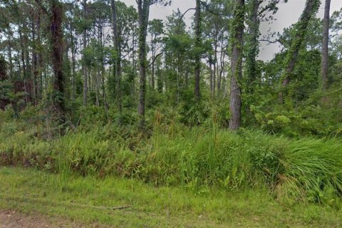 Land in Sebring, Florida № 2163364 - photo 3