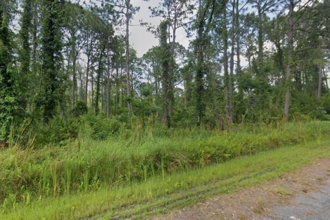 Land in Sebring, Florida № 2163364 - photo 2