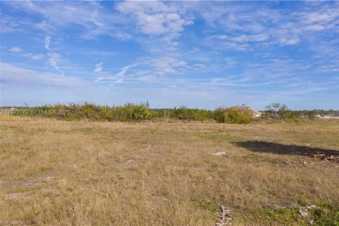 Terreno en venta en Cape Coral, Florida № 2082854 - foto 10