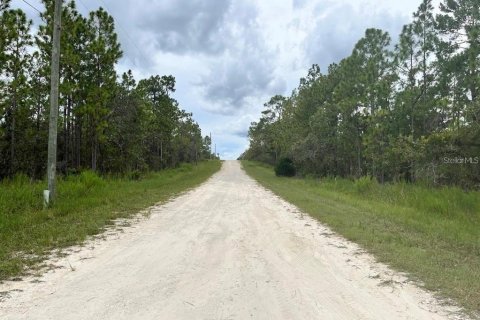 Land in Brooksville, Florida № 2161110