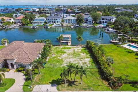 Terreno en venta en Tampa, Florida № 1884711 - foto 5