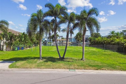 Terreno en venta en Tampa, Florida № 1884711 - foto 6