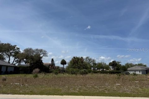 Terrain à Palm Coast, Floride № 2105237