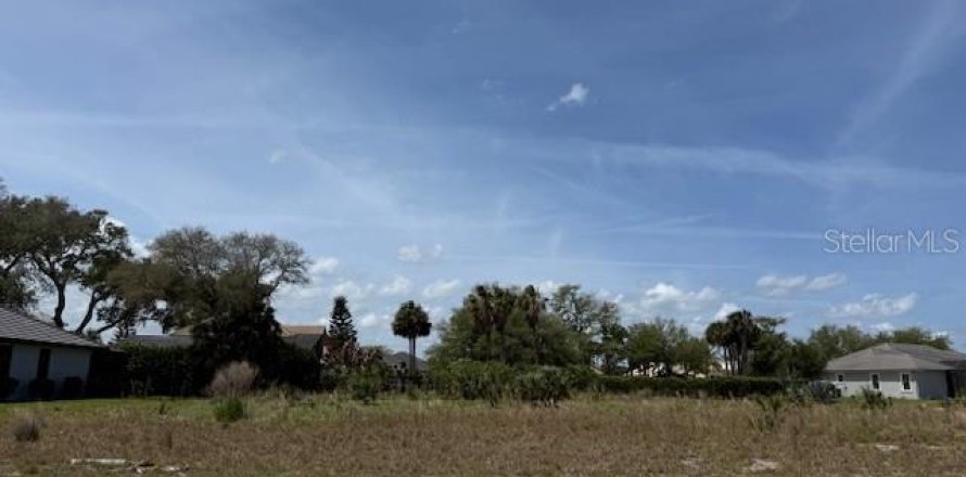 Land in Palm Coast, Florida № 2105237