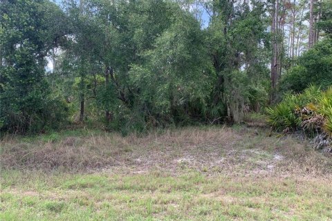 Land in Port Charlotte, Florida № 2158695 - photo 5