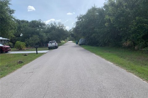 Land in Port Charlotte, Florida № 2158695 - photo 6