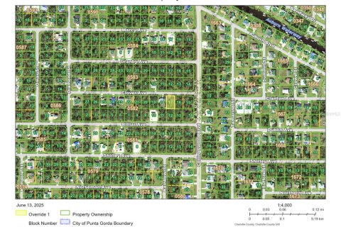 Land in Port Charlotte, Florida № 2158695 - photo 9