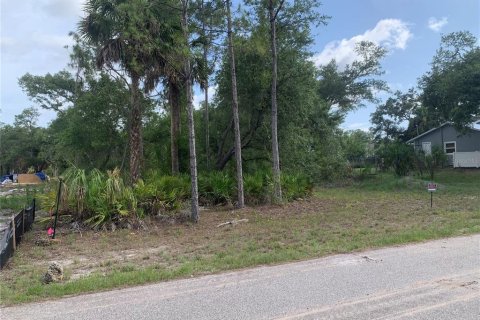 Land in Port Charlotte, Florida № 2158695 - photo 3
