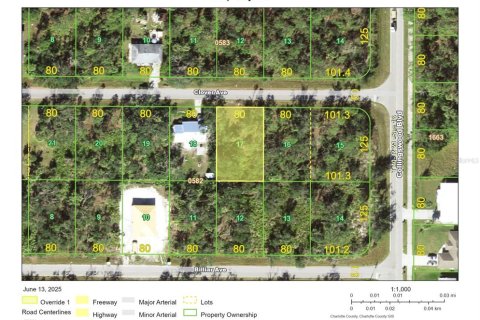 Land in Port Charlotte, Florida № 2158695 - photo 8