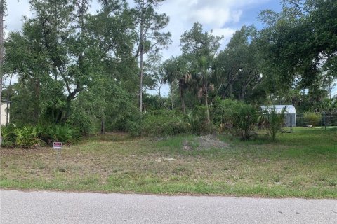 Land in Port Charlotte, Florida № 2158695
