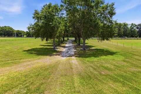 Condo in Anthony, Florida, 1 bedroom  № 2379502 - photo 3