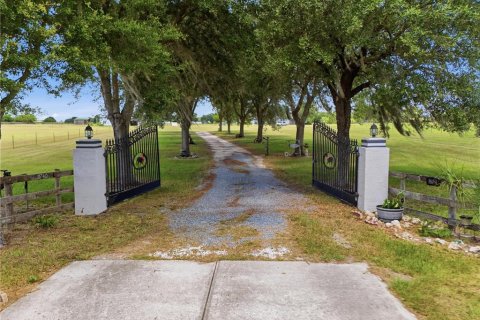 Condo in Anthony, Florida, 1 bedroom  № 2379502 - photo 2