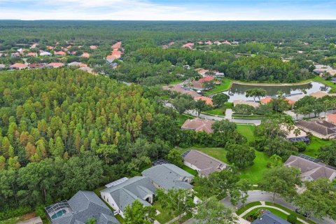 Купить виллу или дом в Тампа, Флорида 10 комнат, 255.48м2, № 1902603 - фото 9