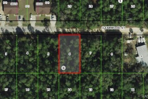 Terreno en Inverness, Florida № 2240008