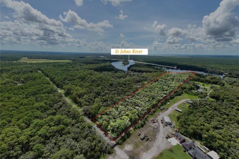 Land in Osteen, Florida № 1894133 - photo 3