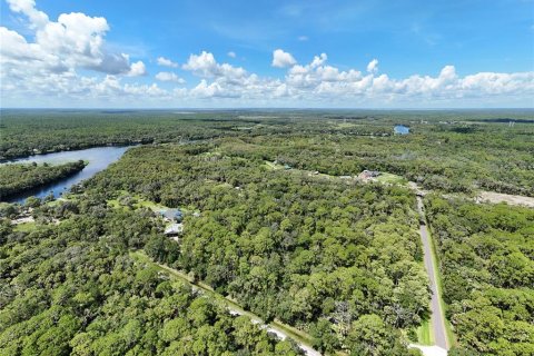 Land in Osteen, Florida № 1894133 - photo 6