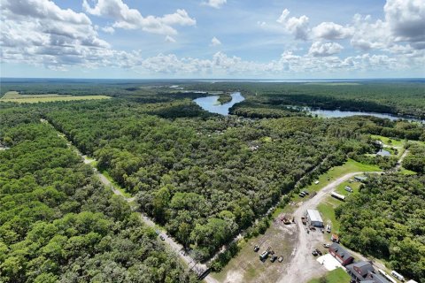 Land in Osteen, Florida № 1894133 - photo 12