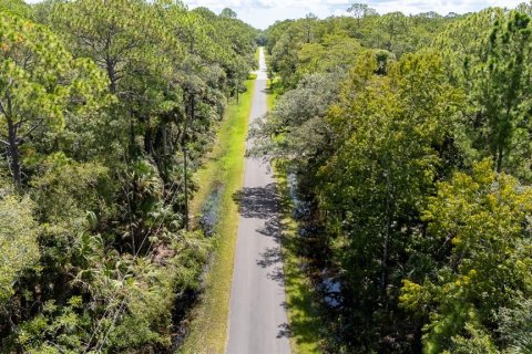Land in Osteen, Florida № 1894133 - photo 13