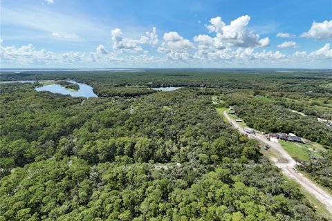 Land in Osteen, Florida № 1894133 - photo 4