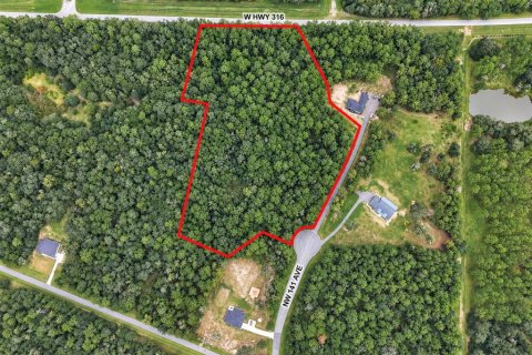 Land in Williston, Florida № 2360697