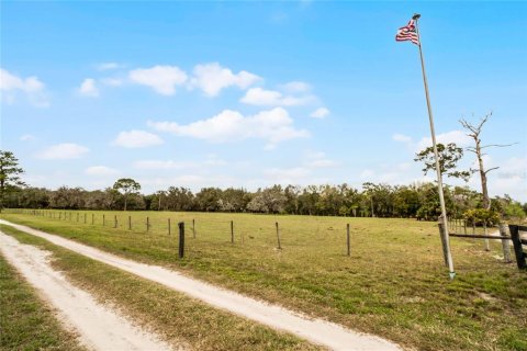 Land in Chuluota, Florida № 1565121 - photo 5