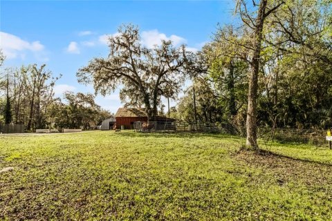 Land in Chuluota, Florida № 1565121 - photo 8