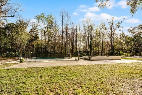Land in Chuluota, Florida № 1565121 - photo 10