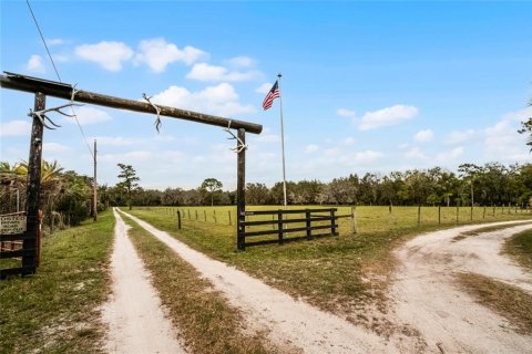 Land in Chuluota, Florida № 1565121 - photo 4