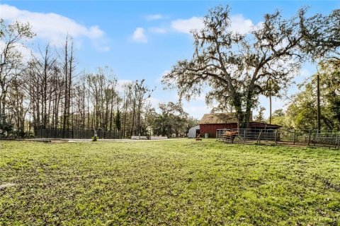 Land in Chuluota, Florida № 1565121 - photo 9