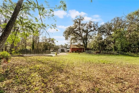 Land in Chuluota, Florida № 1565121 - photo 7