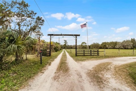 Land in Chuluota, Florida № 1565121 - photo 3