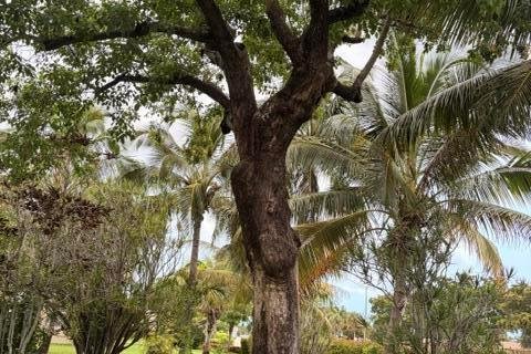 Condominio en venta en Margate, Florida, 2 dormitorios, 91.97 m2 № 2250150 - foto 23
