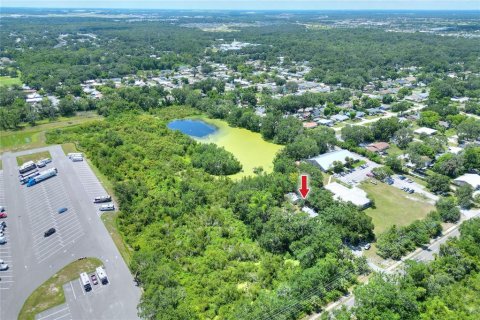 Снять в аренду коммерческую недвижимость в Лейкленд, Флорида 234.76м2, № 1838917 - фото 24