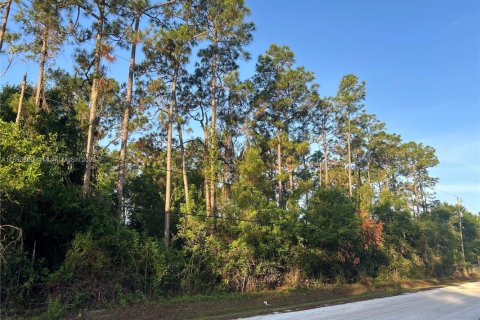 Terreno en Loxahatchee Groves, Florida № 2079201