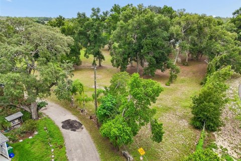 Terreno en venta en Tampa, Florida № 2199433 - foto 7