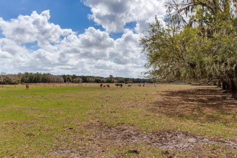 Land in Fish Hawk, Florida № 2105831 - photo 7