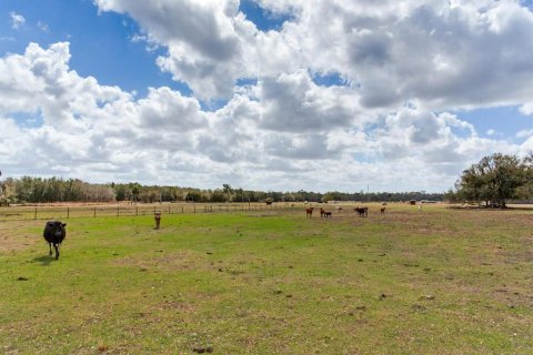 Land in Fish Hawk, Florida № 2105831 - photo 6