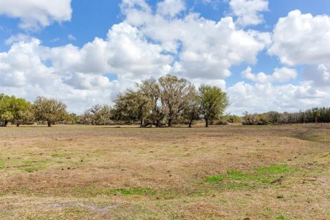 Land in Fish Hawk, Florida № 2105831 - photo 9