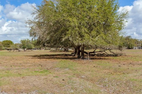 Land in Fish Hawk, Florida № 2105831 - photo 12