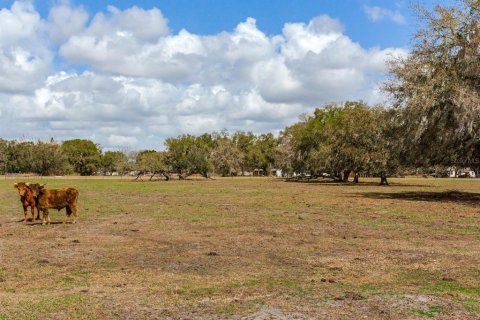 Land in Fish Hawk, Florida № 2105831 - photo 11