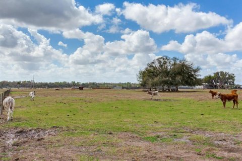 Land in Fish Hawk, Florida № 2105831 - photo 4