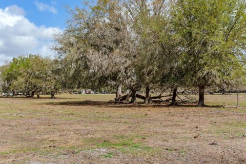 Land in Fish Hawk, Florida № 2105831 - photo 10
