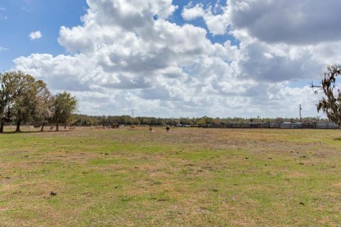 Land in Fish Hawk, Florida № 2105831 - photo 8